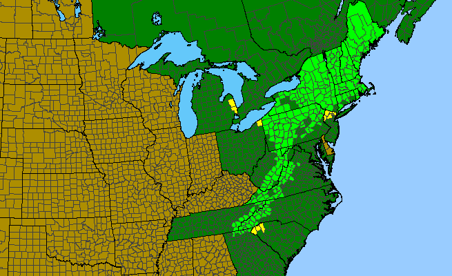 The range of Trillium undulatum